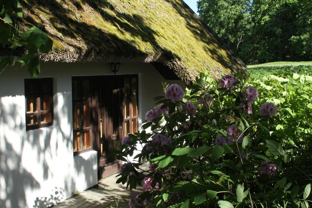 Denderi Villa Rubene Kamer foto