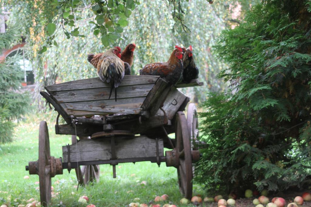 Denderi Villa Rubene Kamer foto